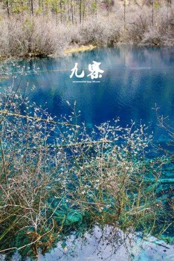 在佐助心里,鸣人是不是他重要的朋友?-高效的有问必答平台