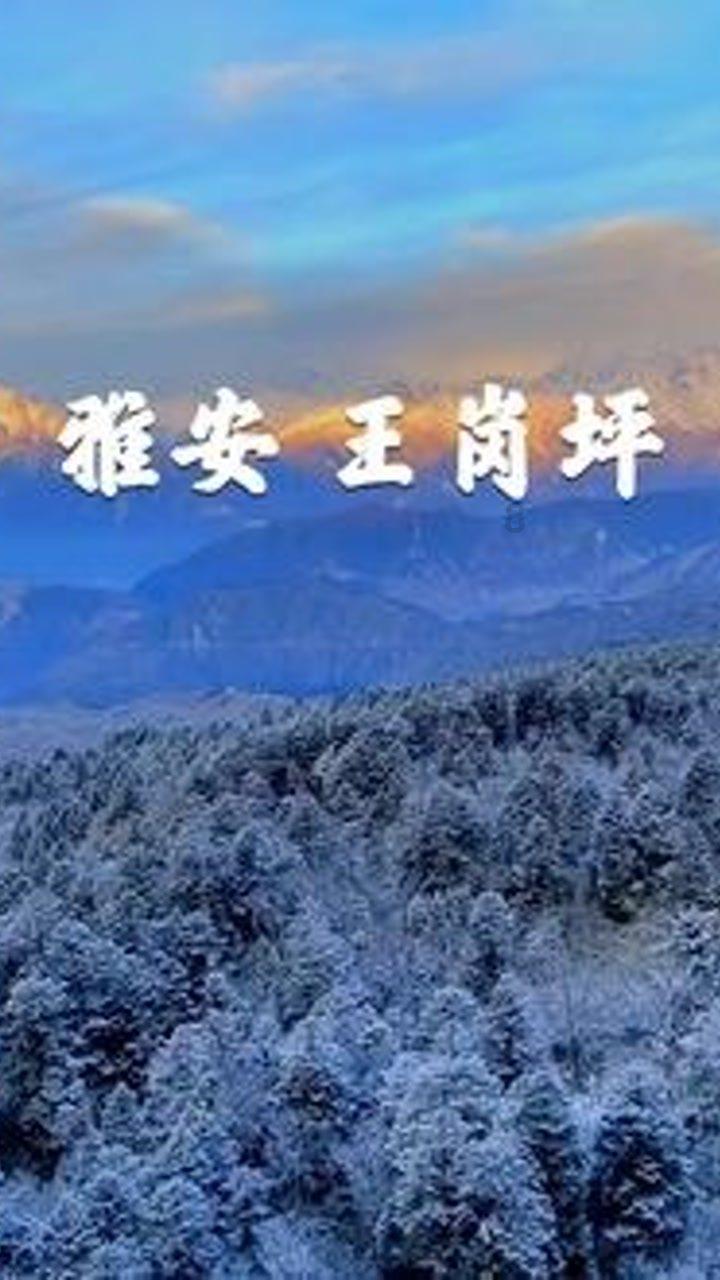 如何计算UPS负载箱的功率需求?