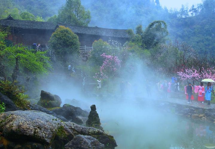 花与剑