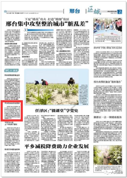 我是孙二谋